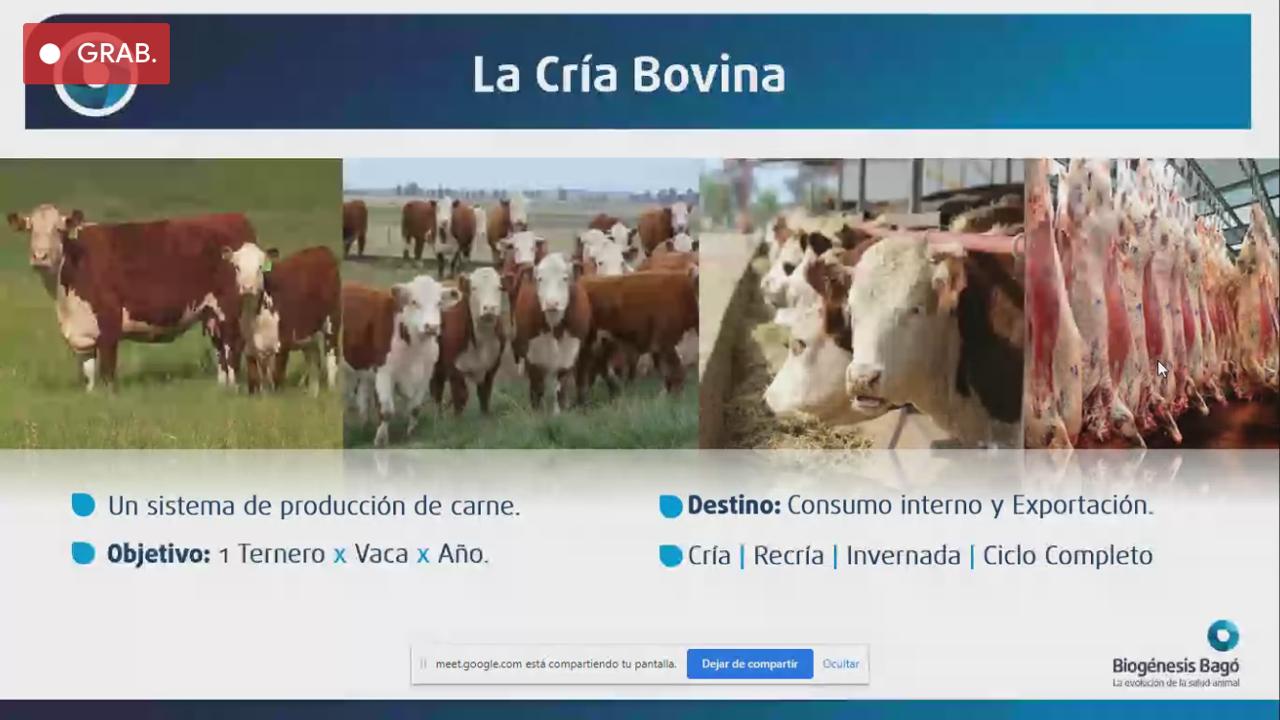Videoconferencia de Carbap sobre ganadería, con participación del Ateneo Rural de la AGA