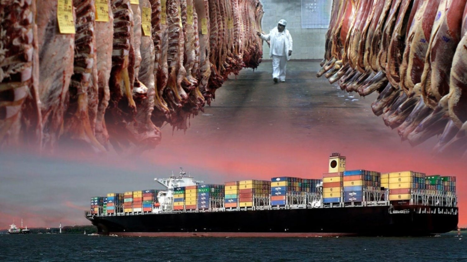 Los mercados de la carne argentina hacia China y la Unión Europea continúan restringidos