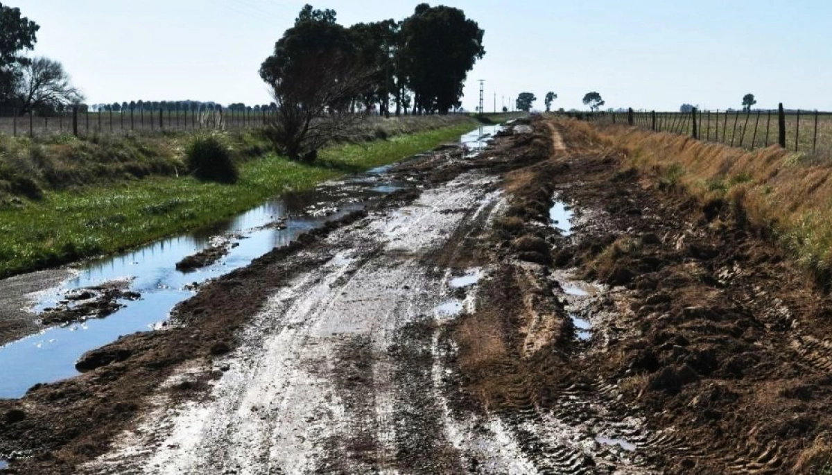 Carbap: apoyo a fallos judiciales por la ilegitimidad del cobro de la tasa vial (si no se presta el servicio)