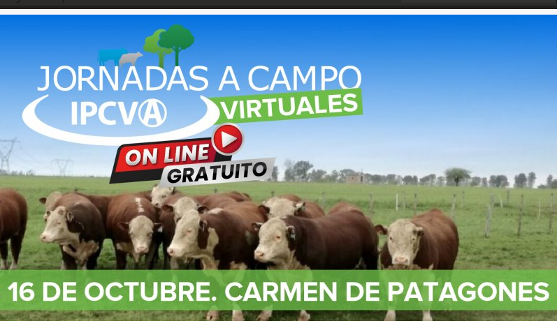 Patagones: este viernes 16 se realiza otra jornada a campo del IPCVA