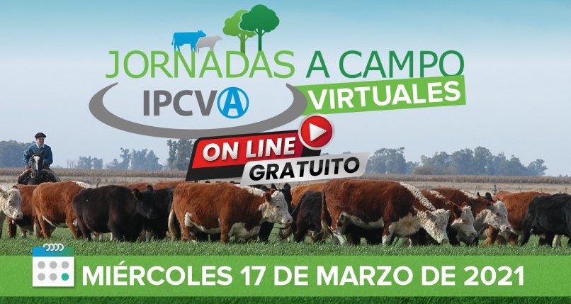 Videoconferencia del IPCVA:  Ciclo completo en sistemas mixtos en Guaminí