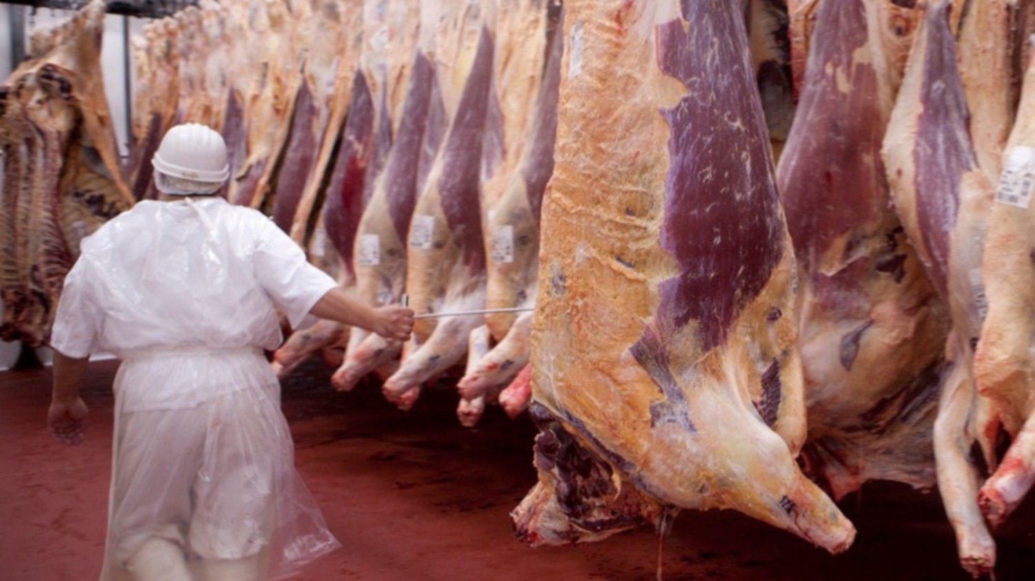 Lunes sin carne: Cuando la ganadería no es parte del problema, sino de la solución