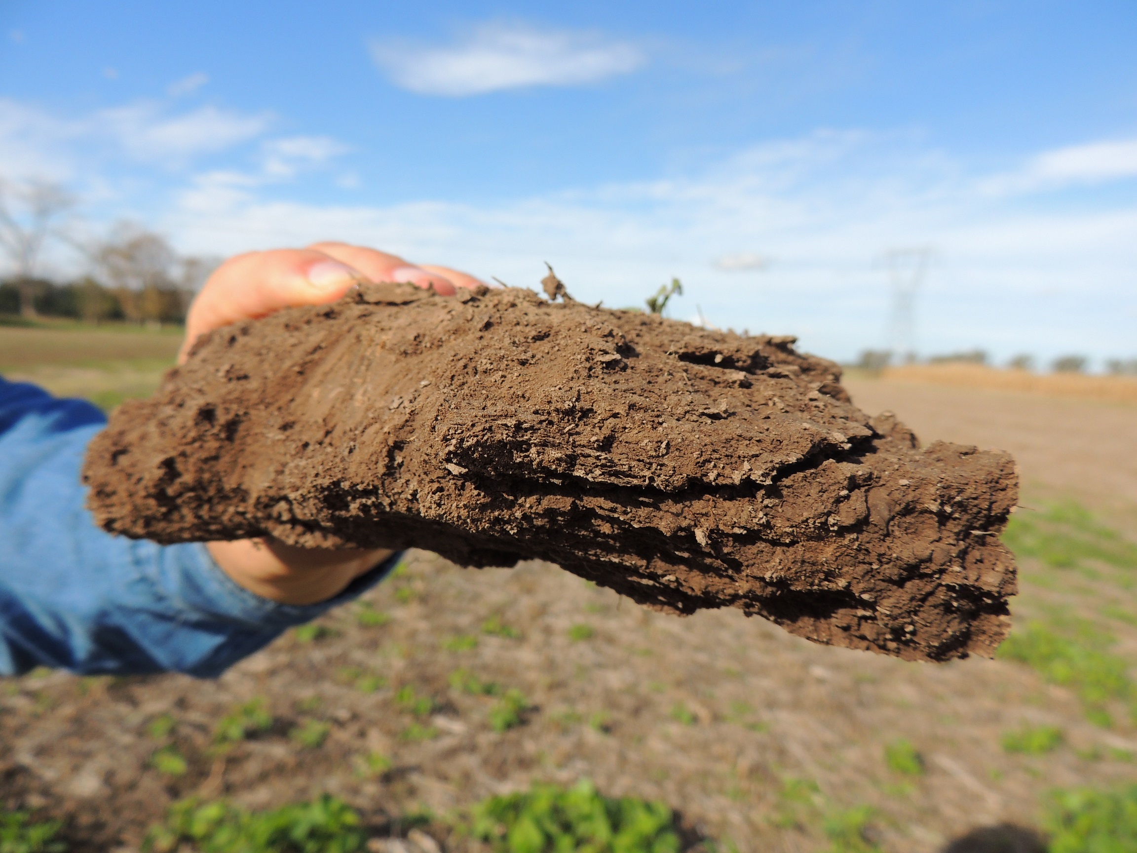 Día de conservación del suelo: la agricultura argentina y la sustentabilidad