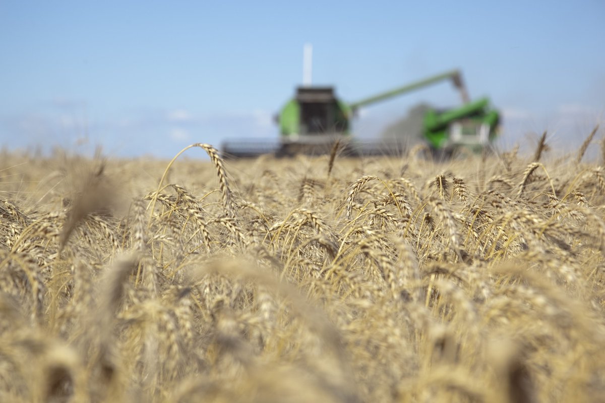 Exportación de granos 2021: ¿Dónde estamos y cuánto nos falta?