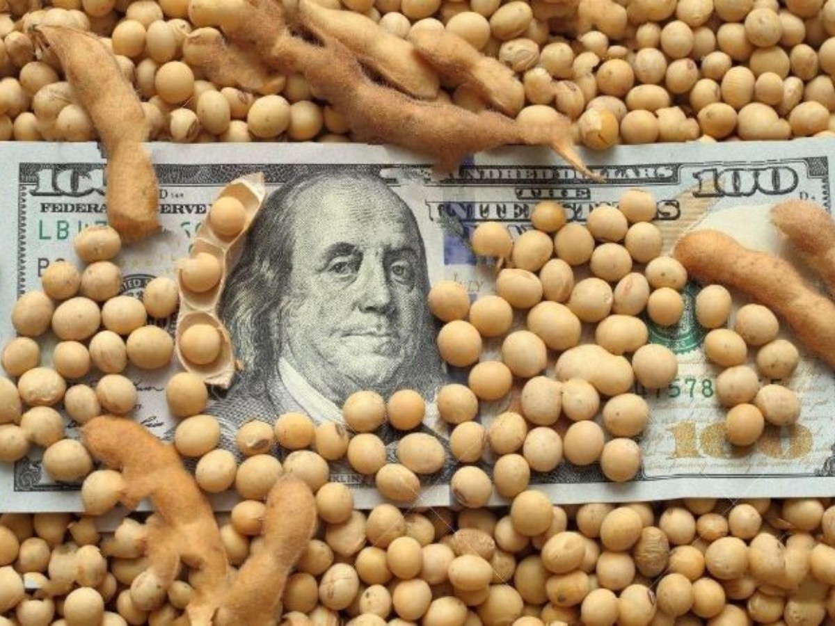 Agroexportación: de enero a septiembre ingresaron más de U$S 25.670 millones