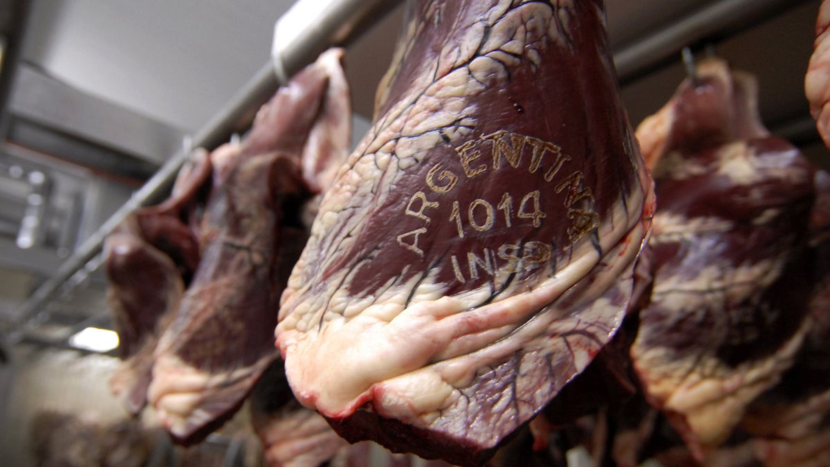 Exportaciones de carne: 710.000 toneladas desde diciembre de 2020