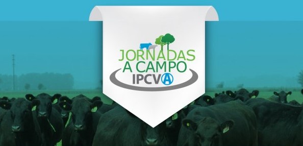 Tres Arroyos: ganadería en campos agrícolas, la propuesta de la jornada del IPCVA