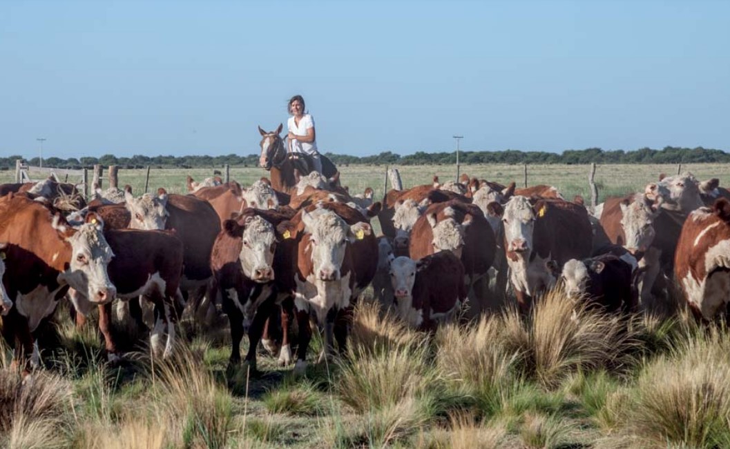 Día Internacional de las Mujeres Rurales: Quiénes son las que cultivan tradición y futuro sostenible