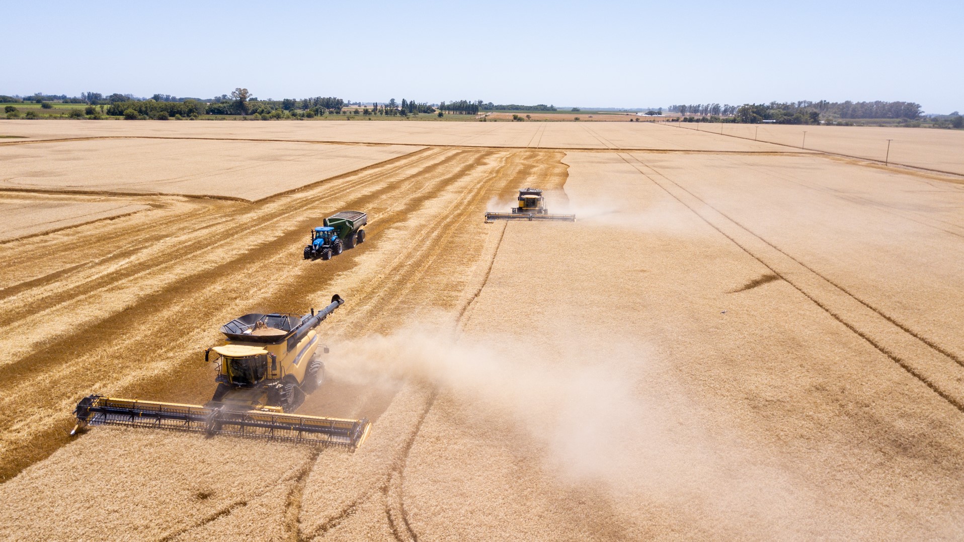 Agroindustria en enero: El sector exportó el 4 % más respecto del año 2024