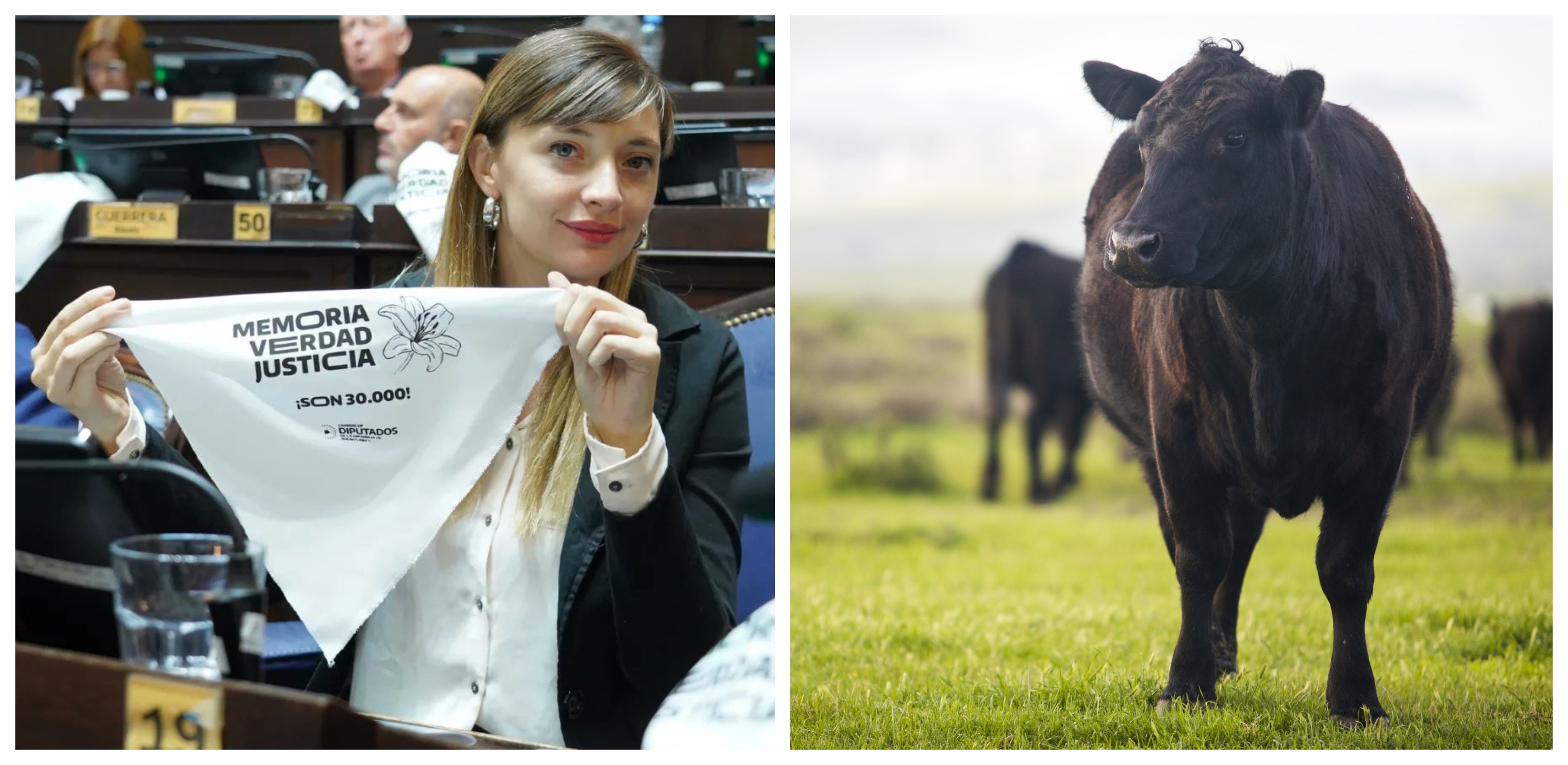 CRA: “Los gases que emiten las vacas no representan una discusión ambiental”