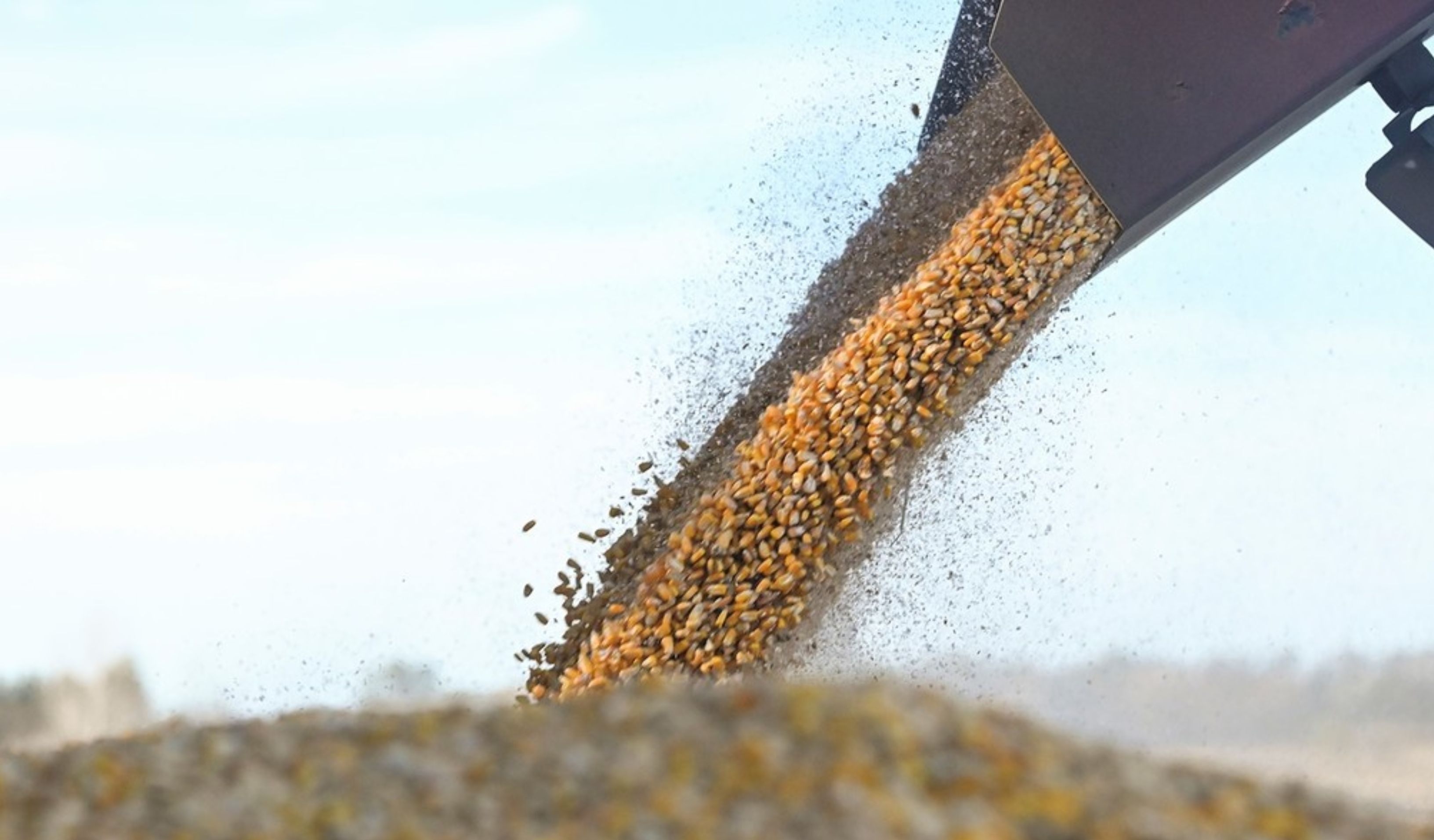 Baja de retenciones: las entidades del sector ponderaron la decisión del Gobierno