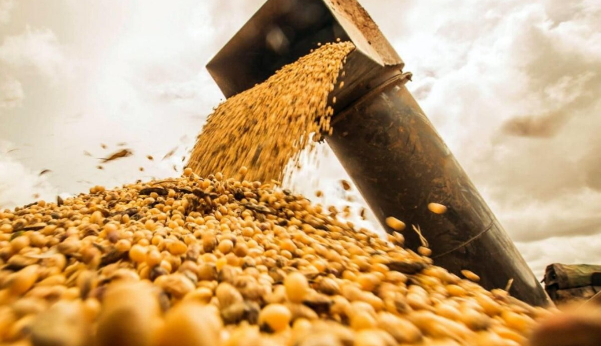 Nueva ley de semillas: ¿cuál es la posición de Carbap ante UPOV 91?