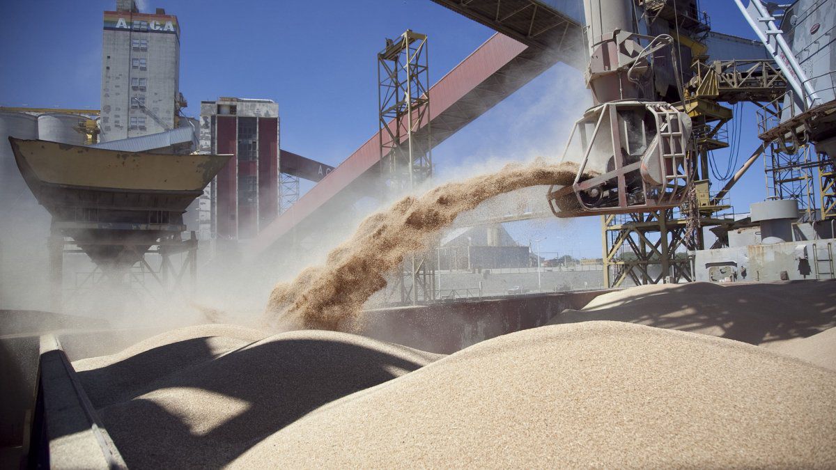 Otro récord: las exportadoras de cereales y oleaginosas liquidaron U$S 2.296 M en julio