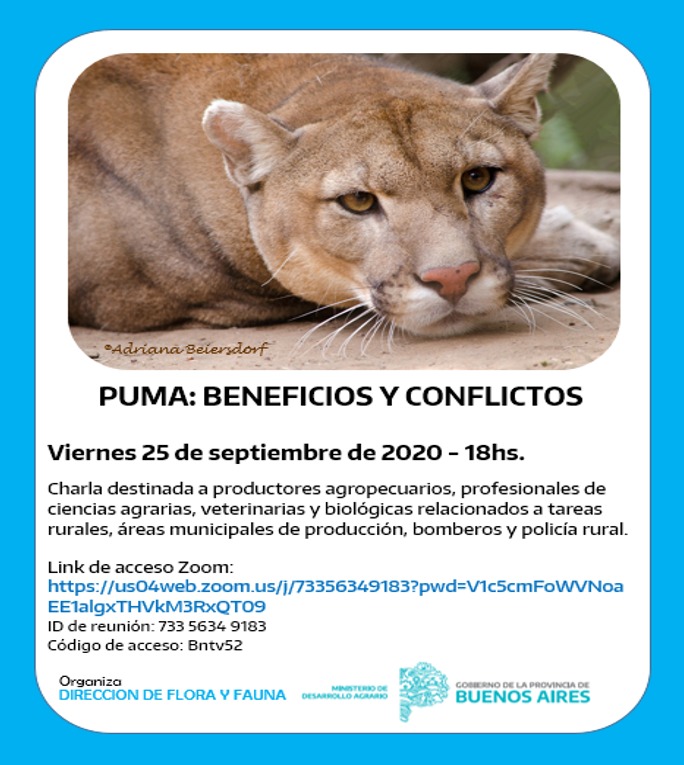 Videoconferencia: la presencia del puma en el campo, perjuicios y conflictos