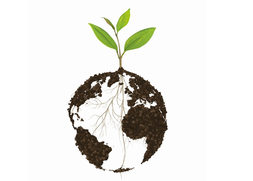 Fertilizar: “Mantengamos vivo el suelo; protejamos su biodiversidad”