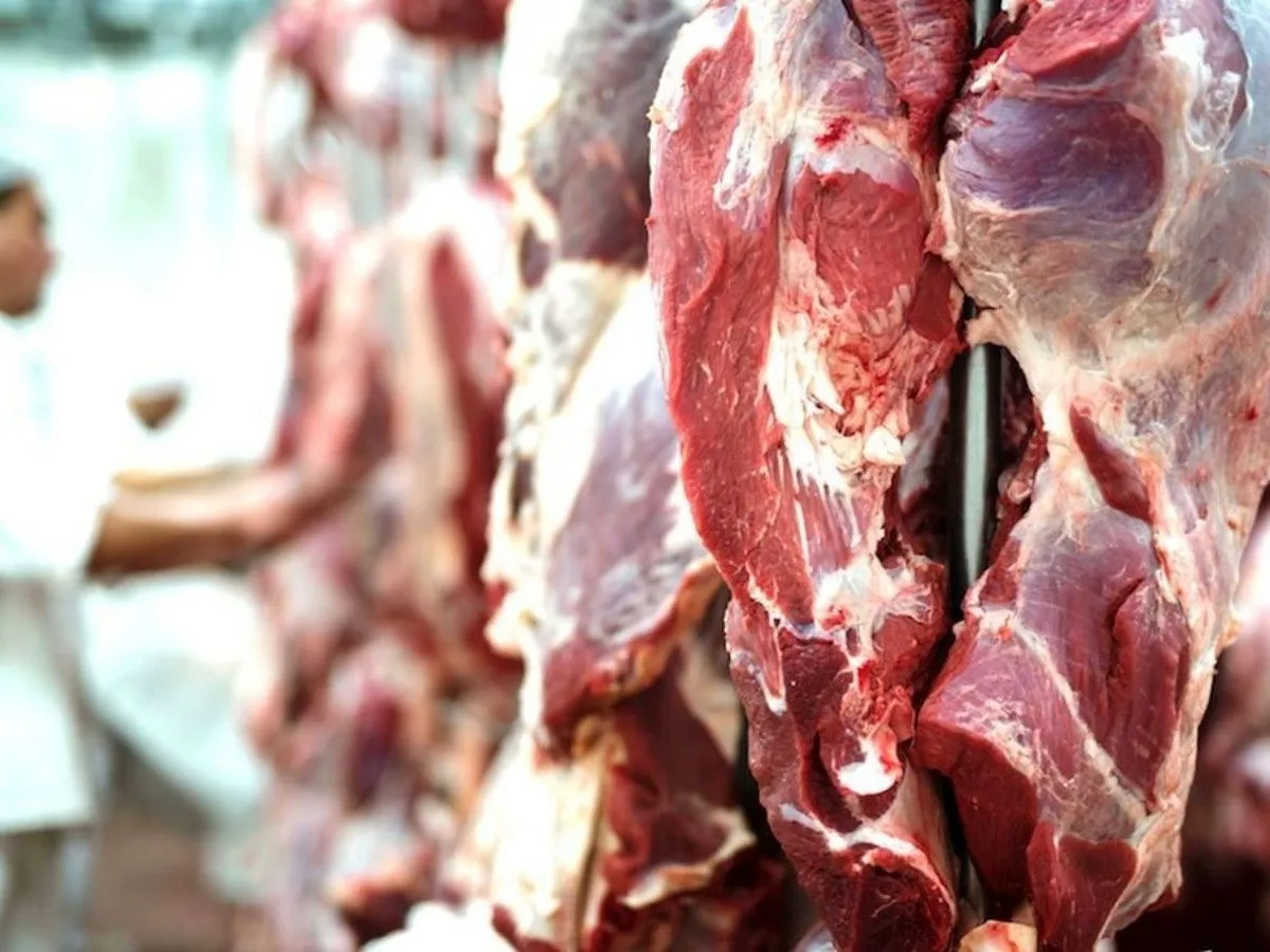 ¿Un cepo a la exportación de carne puede cambiar el nivel de oferta?