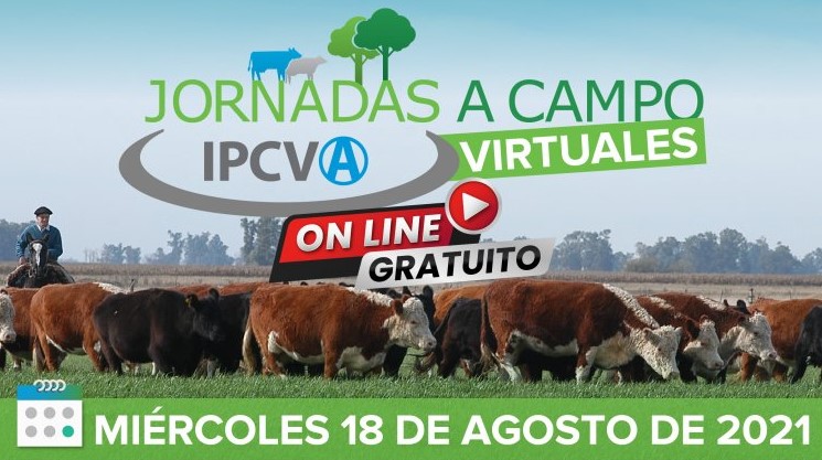 Jornada virtual del IPCVA: Salta y una ganadería que no se detiene
