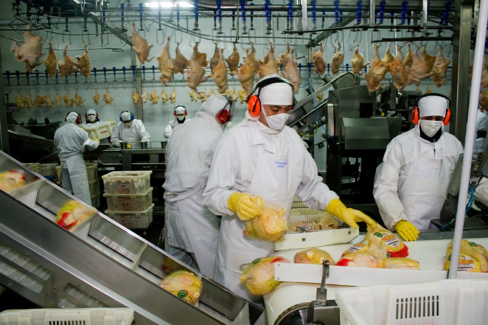 Carne aviar: se reanudó la exportación con destino a la Unión Europea